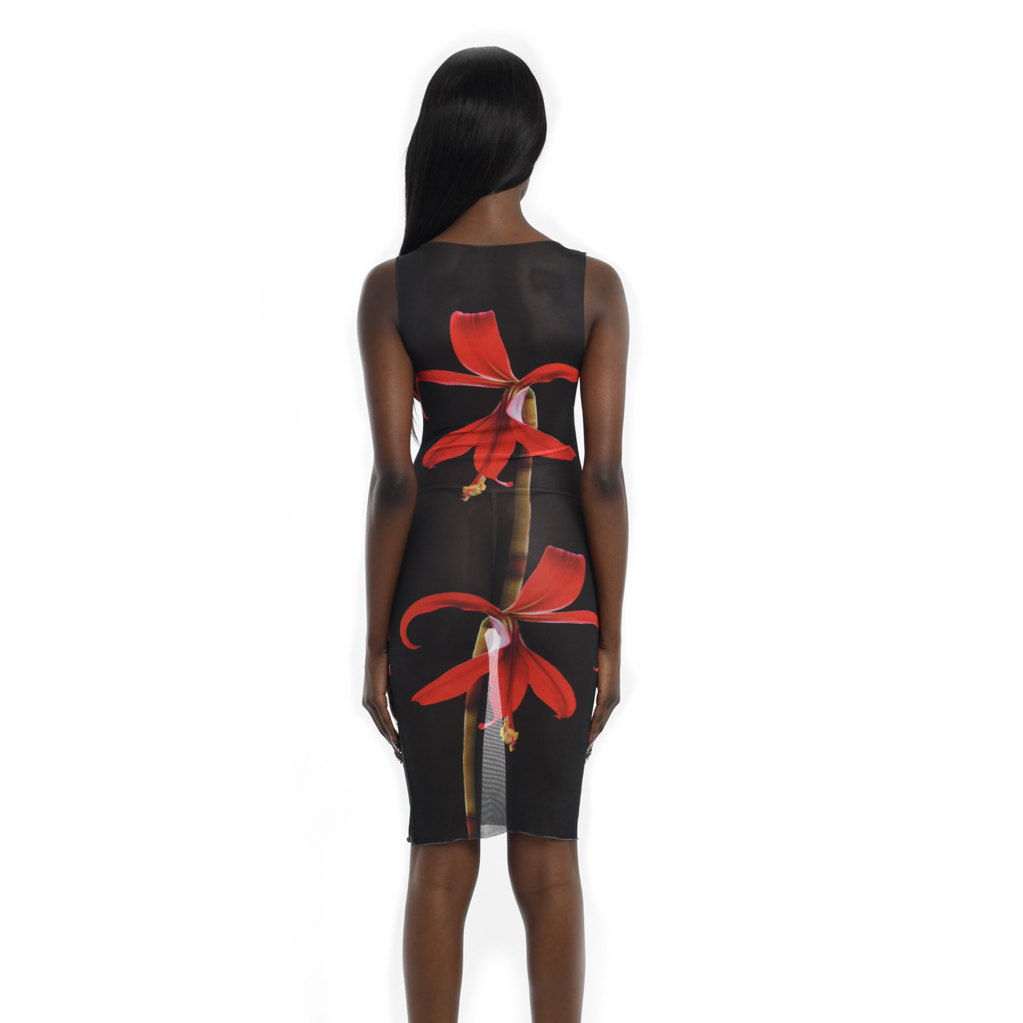 Sprekelia Mesh Dress